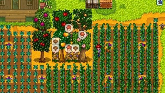 星露谷物语蘑菇树桩流玩法攻略(图3) 星露谷物语蘑菇树桩流玩法攻略(图3)